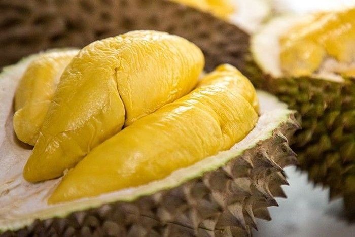 Penasaran dengan Harga Durian Musang King? Simak Ulasan Ini