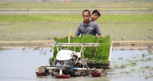 Harga Mesin Tanam Padi