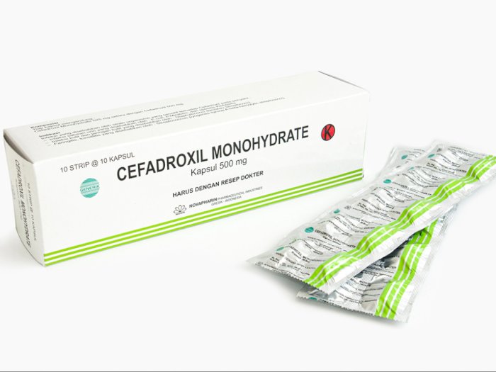 Harga Cefadroxil Monohydrate, Lihat Disini