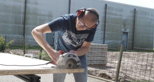 harga mesin potong kayu