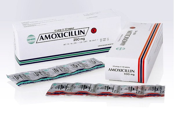 Daftar Harga Amoxicillin di Apotek Terdekat, Wajib Tahu!